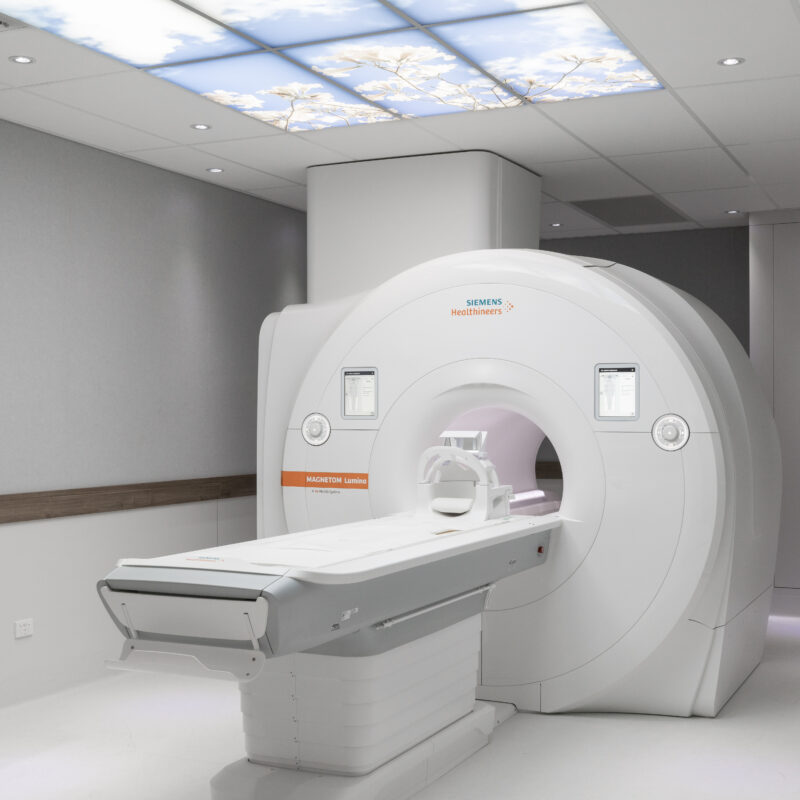 Panorama Radiology